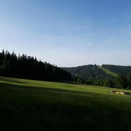Les Jonquilles: Gite 8/10 Pers. Avec Vue Imprenable! Gerardmer Exterior photo